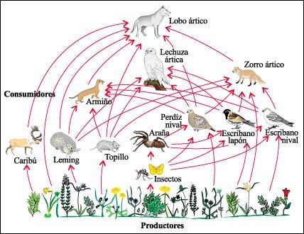 Resultado de imagen para que es nicho ecologico