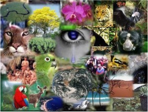Diversidad biológica (Biodiversidad)