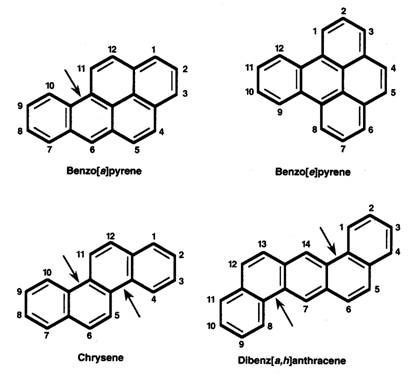 Resultado de imagen para hidrocarburos aromaticos policiclicos