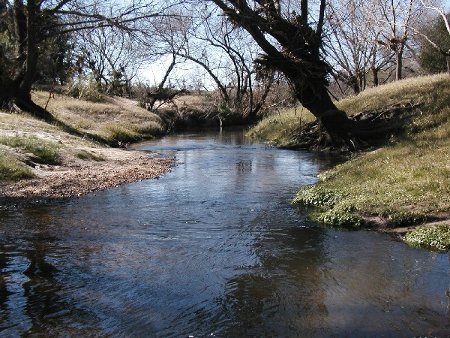 Arroyos