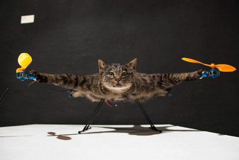 Artista transforma su difunto gato en un helicóptero