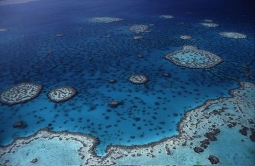 Australia crea la reserva marina más grande del mundo
