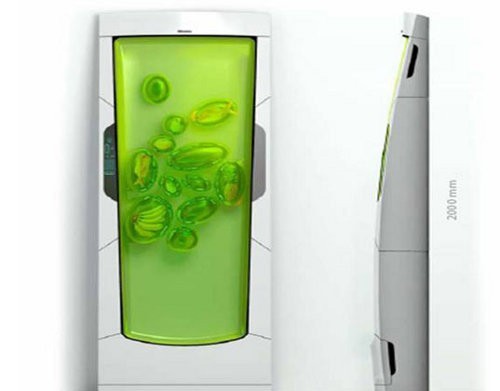 Bio refrigerador que no consume energía2