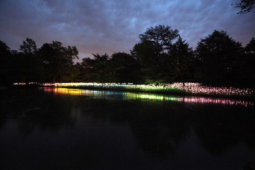 El jardín de flores LED de Bruce Munro2