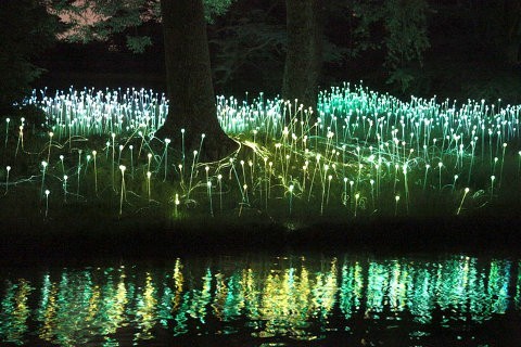 El jardín de flores LED de Bruce Munro3