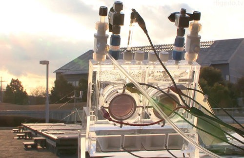 Panasonic estrena un sistema de fotosíntesis artificial