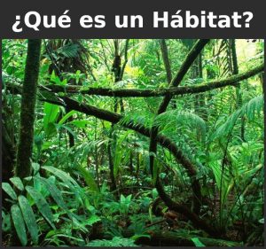 Qué es un habitat