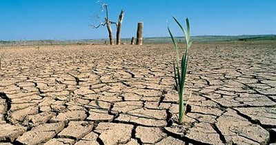 Día Mundial de la Lucha contra la Desertificación y la Sequía