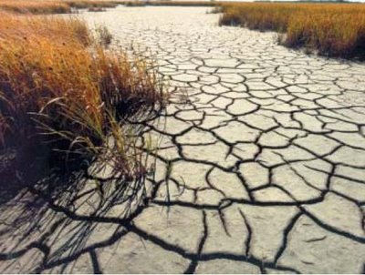 Imágenes del Día Mundial de la Lucha contra la Desertificación y la Sequía