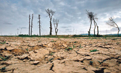 Imágenes del Día Mundial de la Lucha contra la Desertificación y la Sequía