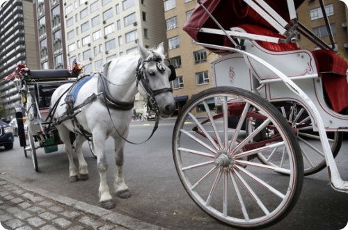 Los carros de caballos de Central Park serán reemplazados por autos eléctricos