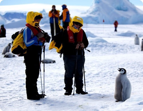 La Antártida pierde 160 gigatoneladas de hielo al año