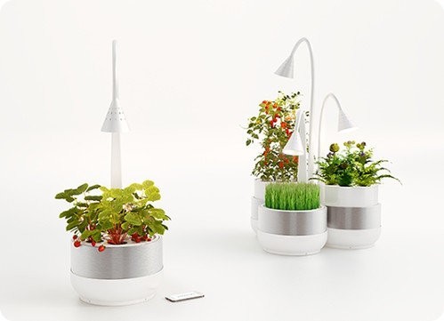 SproutsIO: un sistema de microgranjas para plantar en espacios pequeños