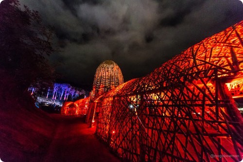 Artistas crean un genial túnel de bambú