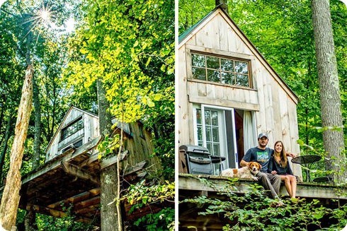 Pequeña cabaña de bosque de 4000 dólares es construida en solo 6 semanas