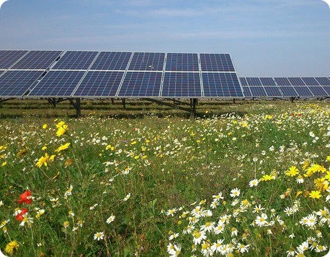 Será esta la granja solar más ecológica de todas