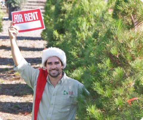 Una compañía de California alquila árboles para Navidad