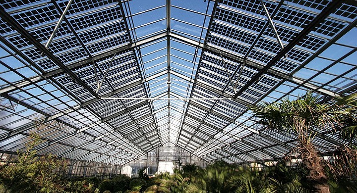 Invernadero genera electricidad a través de paneles solares