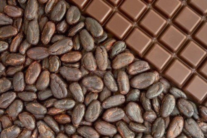 Chocolate y Cacao
