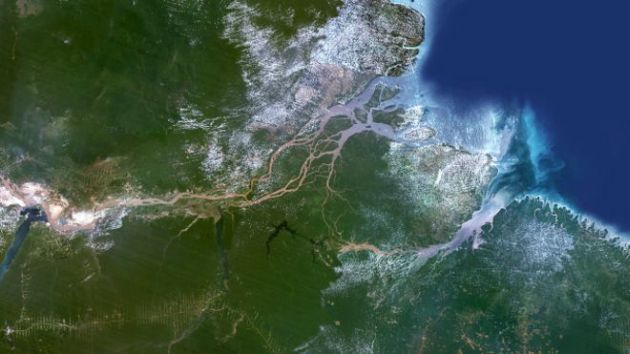 arrecife de coral en la desembocadura del río Amazonas
