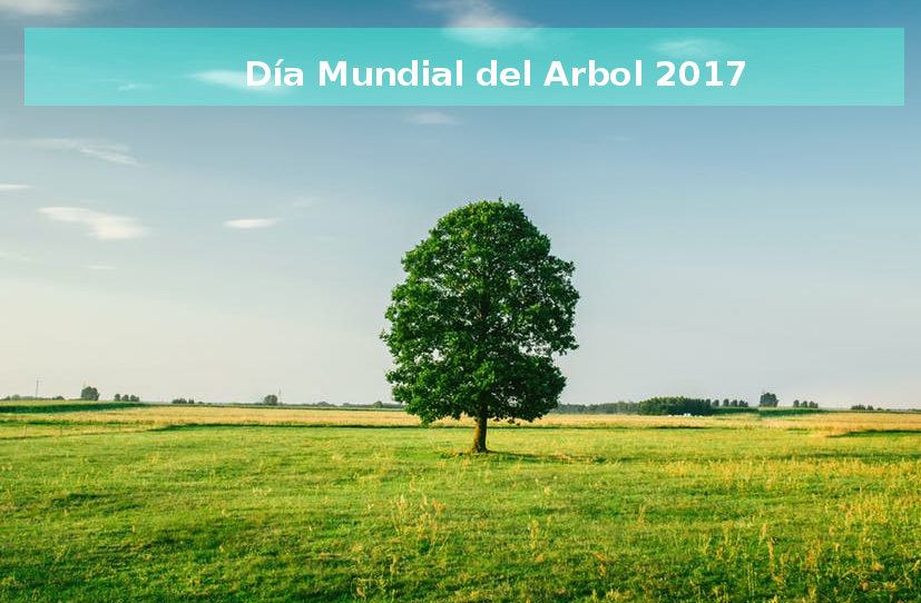 Dia Del Arbol 2020 Un Dia Especial Para Plantar Arboles