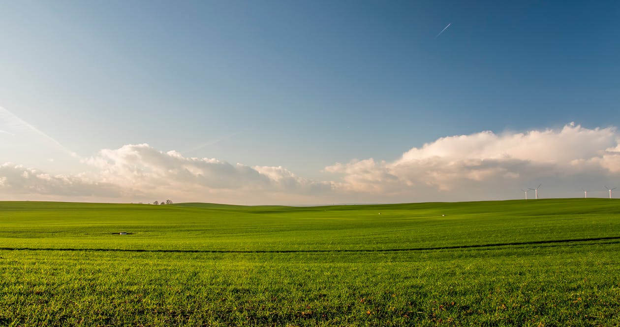 Verdes praderas junto a un cielo azul, en el fondo la energía eólica trabajando sin contaminación