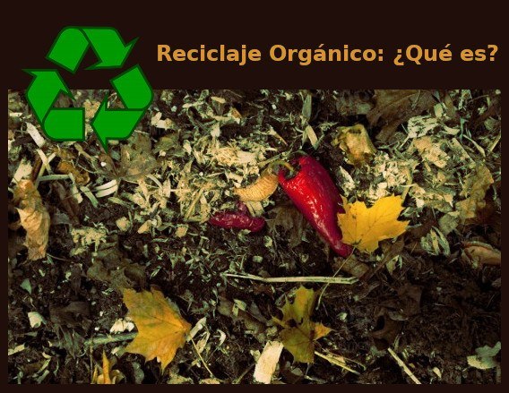 reciclaje organico